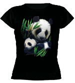 Panda (661)