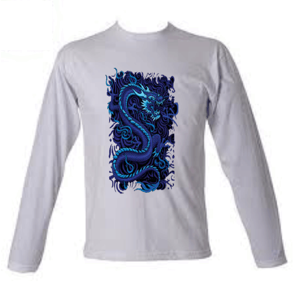 transfer dragao (652)